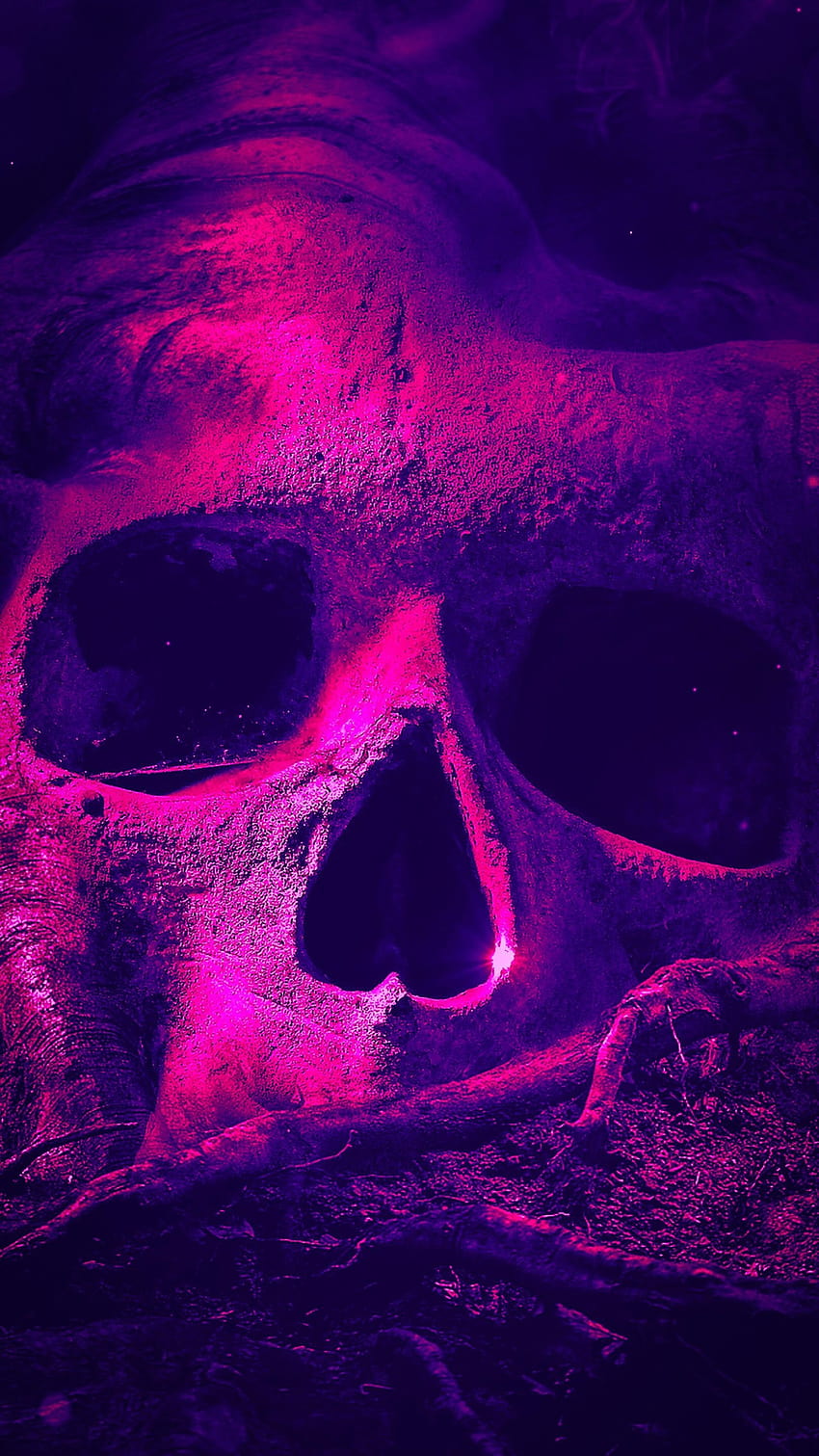 Purple Skull, snake skull HD phone wallpaper