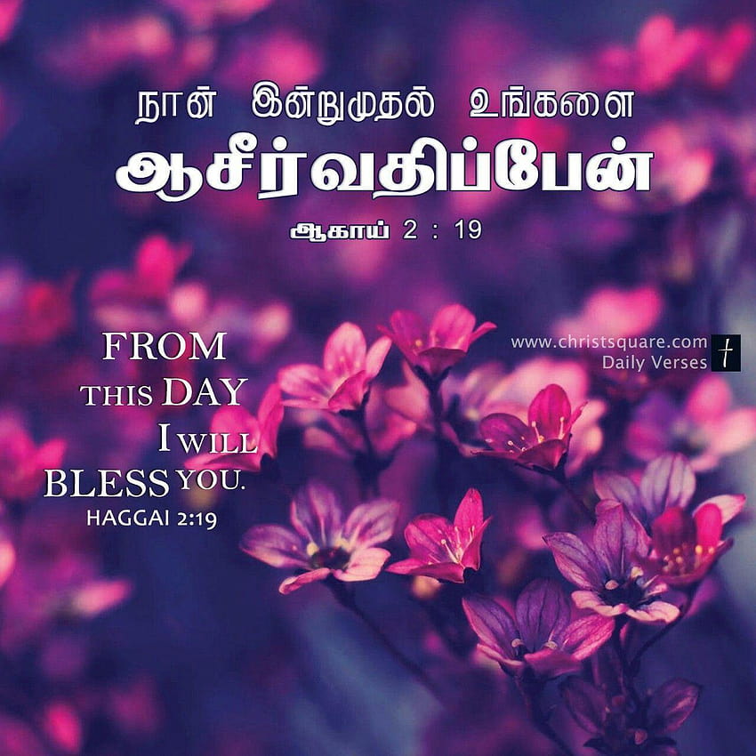 Tamil cristão, verso bíblico tamil, tamil, cristão com versos bíblicos para celular Papel de parede de celular HD