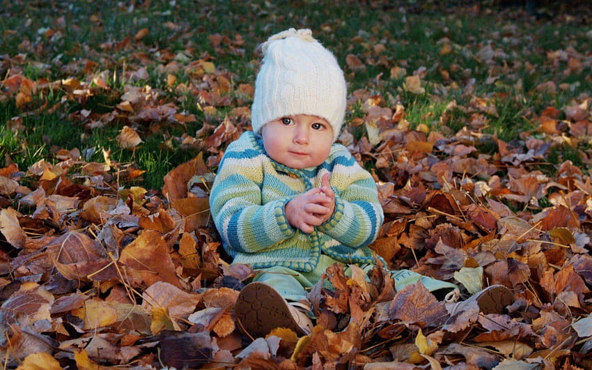 cute baby girl ,child,leaf,toddler,autumn,baby, graphy,sitting,plant, baby boy and girl HD wallpaper