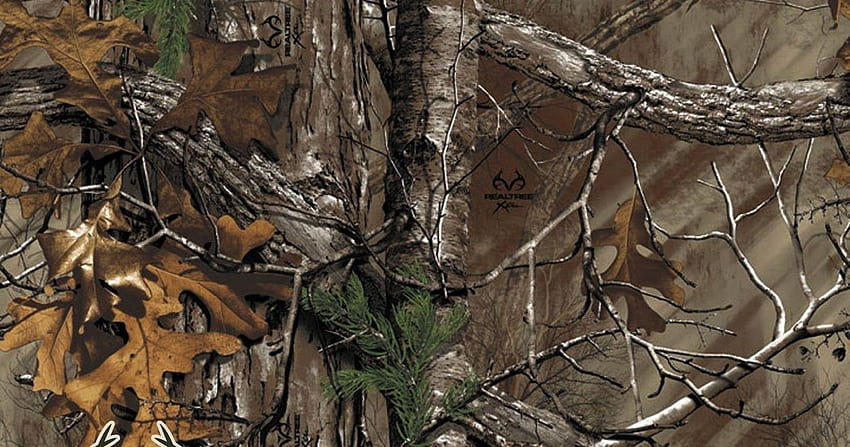Top Tips: How to Stalk Deer, realtree camo background HD wallpaper