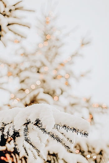 HD wallpaper: snowman, figure, cute, winter, wintry, decoration, christmas  | Wallpaper Flare