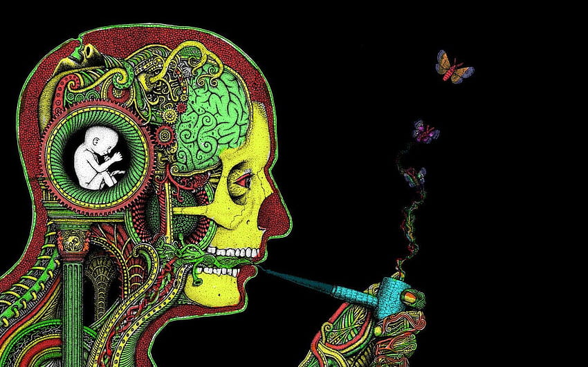 artwork, butterfly, skull, psychedelic, smoking, drugs HD wallpaper
