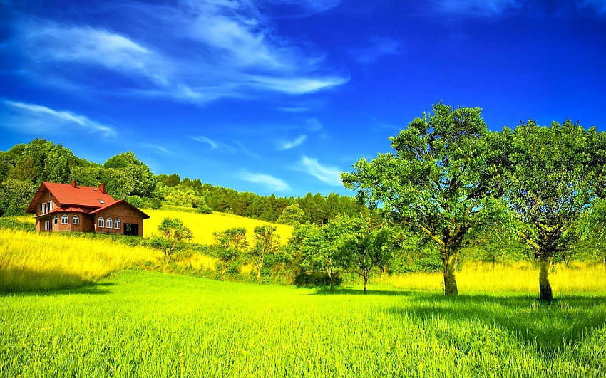 Красив летен сезон с природа, повечето зелени планини HD тапет