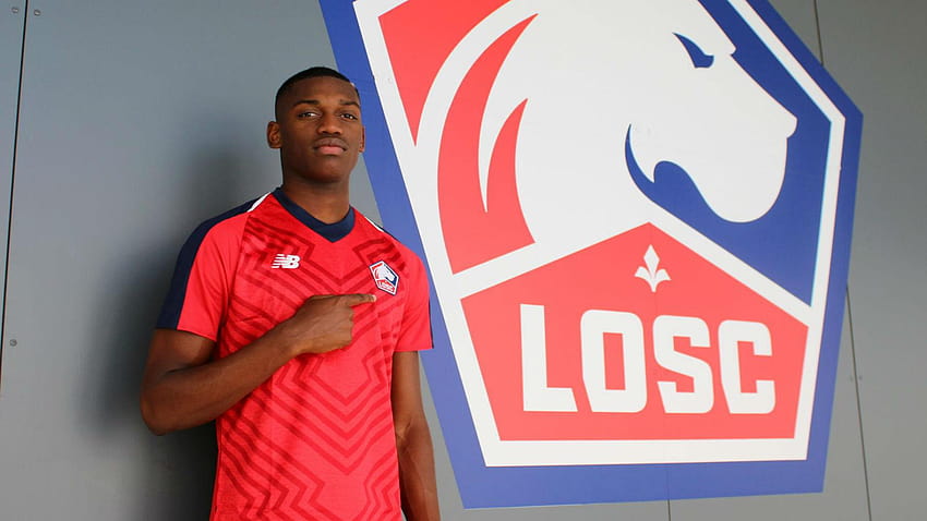 Lille sign Portugal youth star Leao, rafael leao HD wallpaper