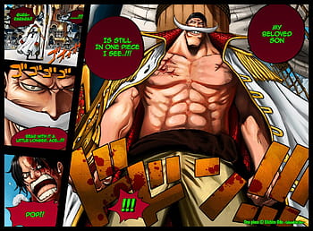 Whitebeard and Ace - Other & Anime Background Wallpapers on Desktop Nexus  (Image 1986353)