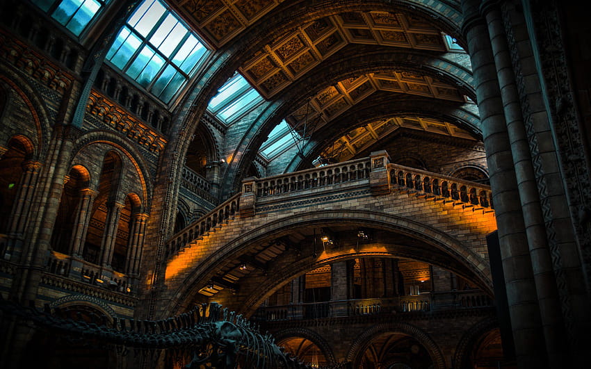 Natural History Museum Architecture HD wallpaper