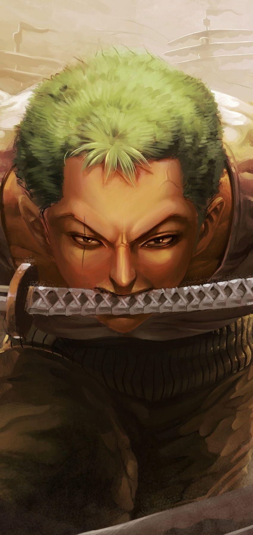 1080x2280 Roronoa Zoro One Plus 6,Huawei p20,Honor view 10,Vivo, 원피스 조로 모바일 배경 HD 전화 배경 화면