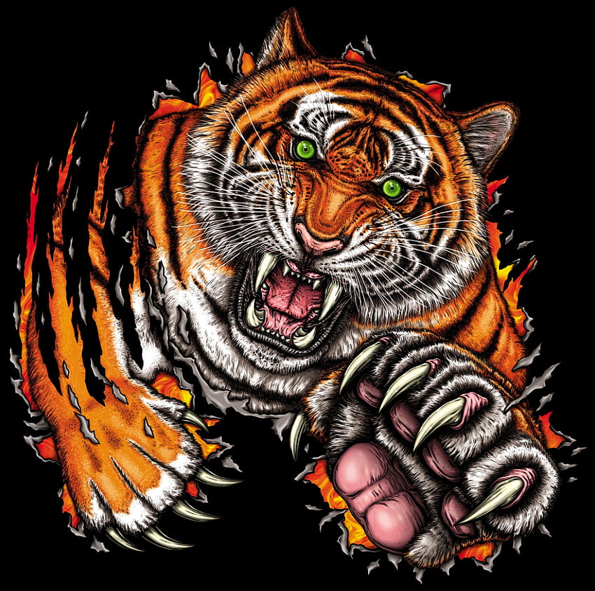 tigre, sourire, saut, prédateur, art : Écran large : Haut, harimau amoled Fond d'écran HD