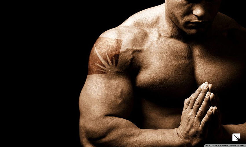 Bodybuilding : : High Definition, musculation HD wallpaper