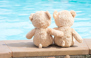Cute teddy bear couple HD wallpapers | Pxfuel
