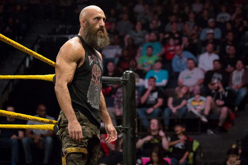 Ciampa reportedly set for neck surgery, will be out a 'long, tommaso ciampa HD wallpaper
