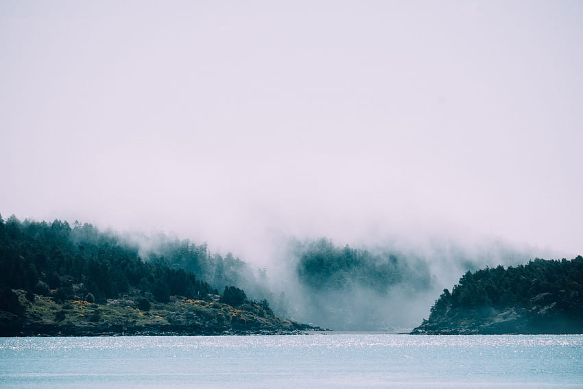 : doğa, sis, sonbahar, yas, üzgün, bunalımlı, sisli okyanus estetiği HD duvar kağıdı
