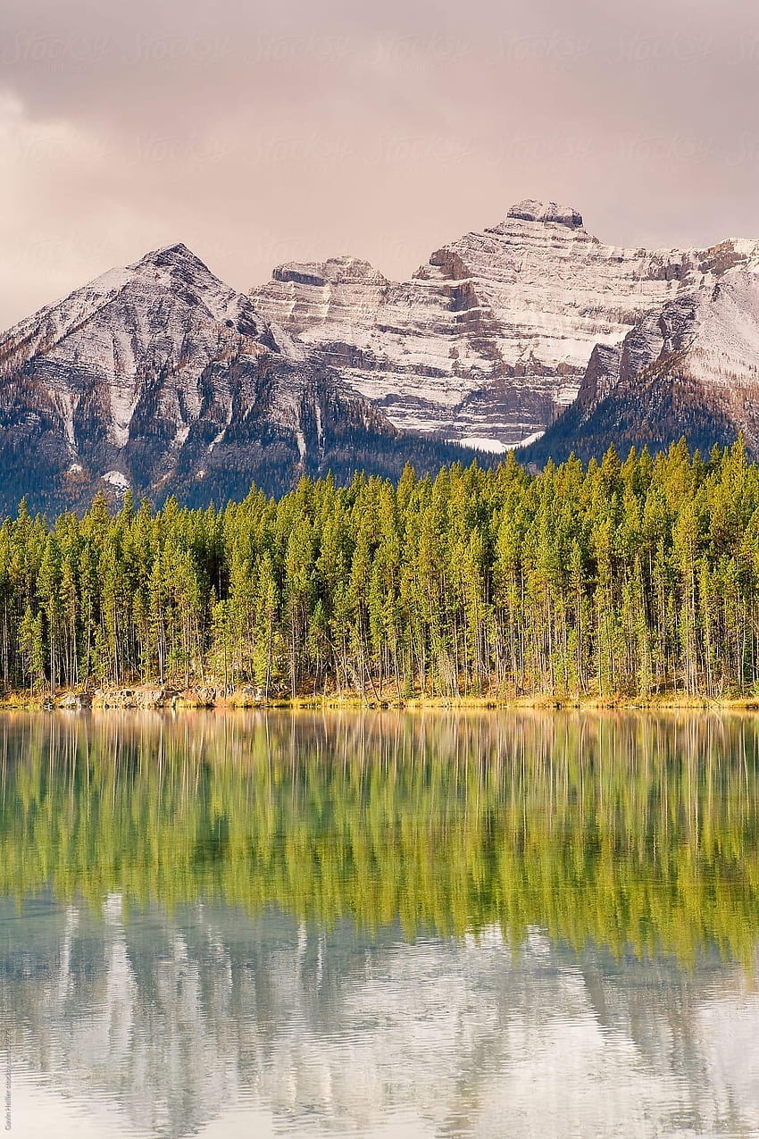 La cordillera de Bow se refleja en el lago Herbert cerca del lago Louise, el parque nacional Herbert Lake Banff, Canadá fondo de pantalla del teléfono