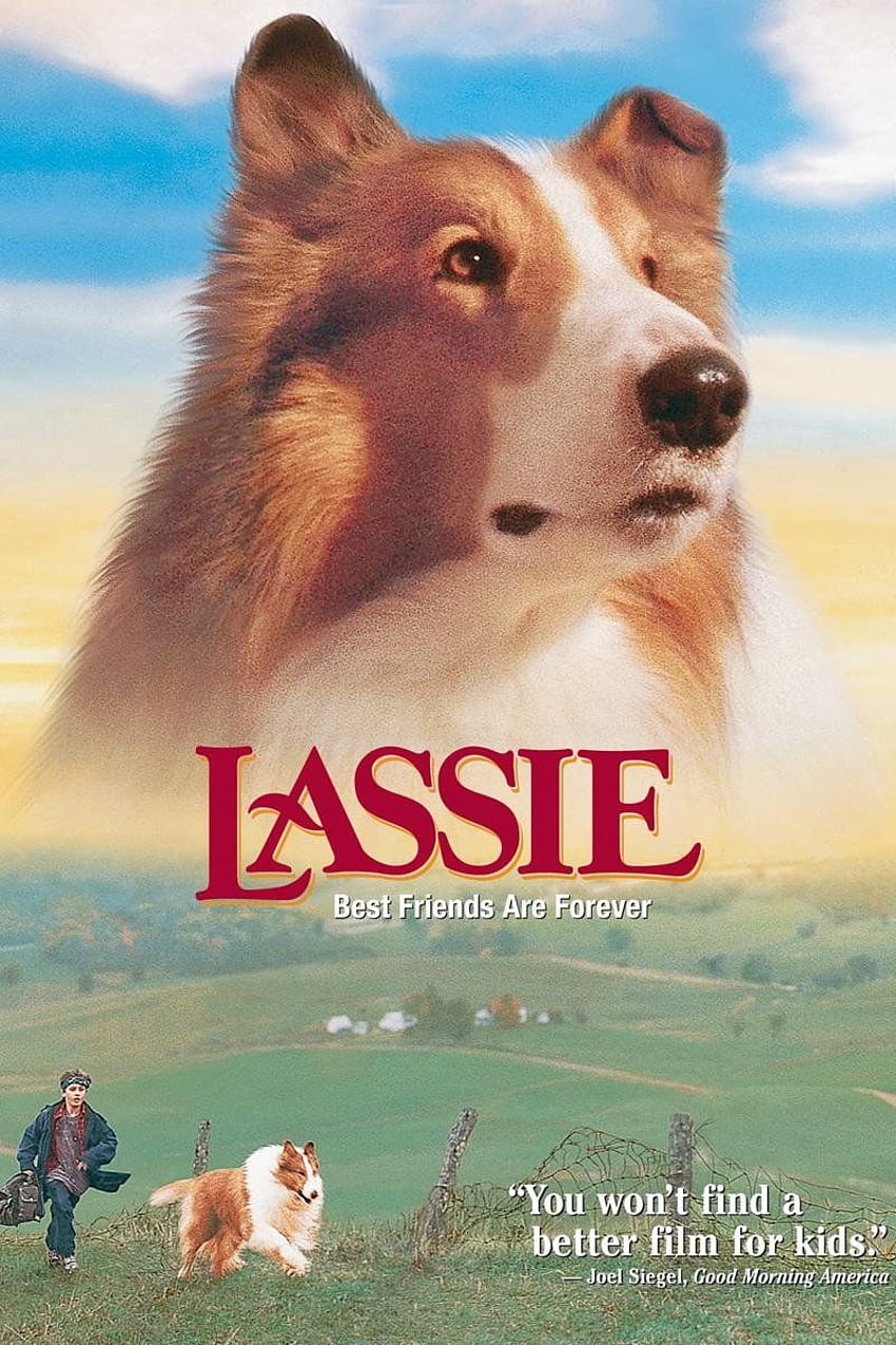 Watch Lassie Lassie 1994 Hd Phone Wallpaper Pxfuel