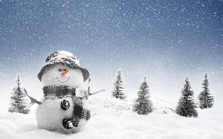 Winter Snowman, winter real snowmen HD wallpaper