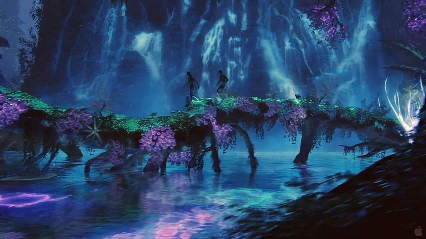 Biolumineszenz, Avatar 2 der Weg des Wassers HD-Hintergrundbild