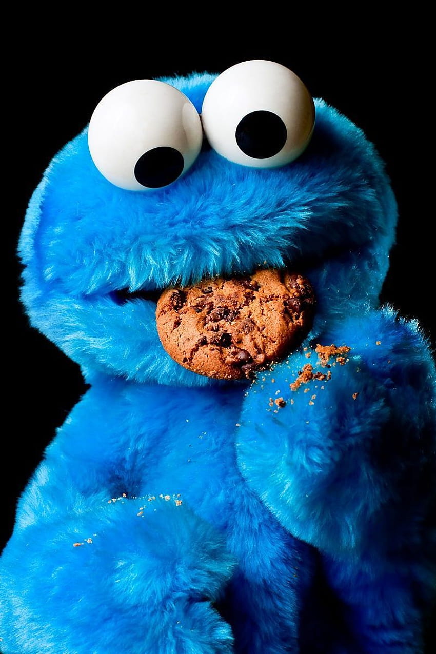 Cookie Monster iPhone, cookie monsta HD phone wallpaper