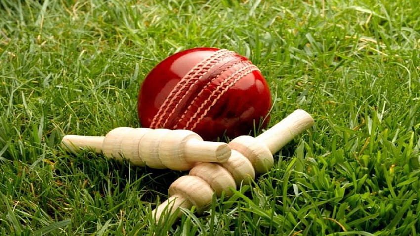Cricket Ball And Bails, pemukul dan bola kriket Wallpaper HD