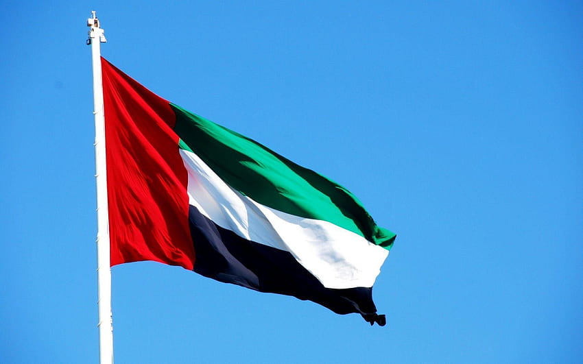 United Arab Emirates Flag for Android, uae flag HD wallpaper