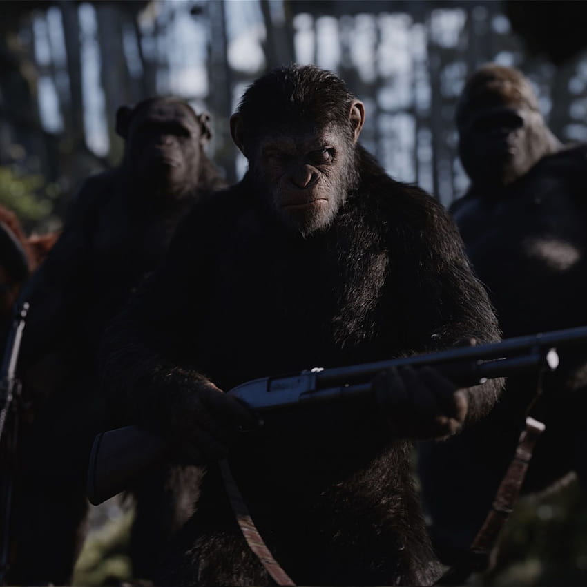 Cómo la guerra del planeta de los simios convirtió un efecto visual en una película del planeta de los simios fondo de pantalla del teléfono