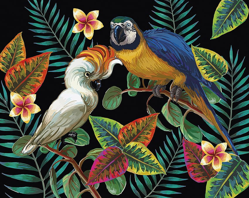 Tropical Birds Wallpapers  Top Free Tropical Birds Backgrounds   WallpaperAccess