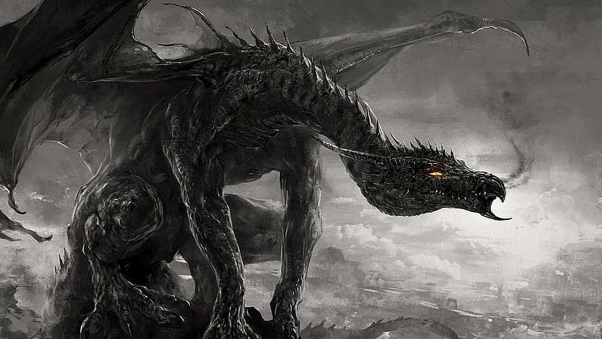 Lonely dragon with amber eyes black and white engraving phone backgrounds HD wallpaper