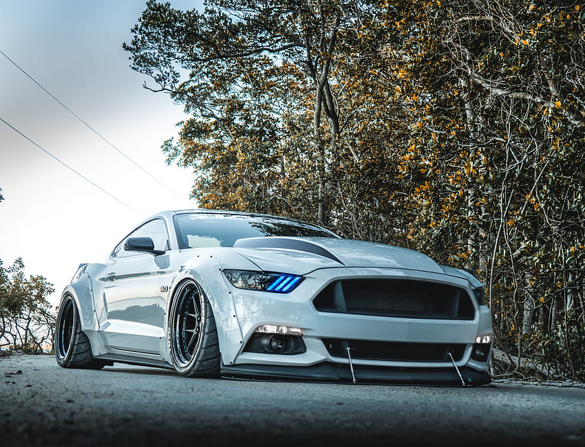 This Widebody S550 Fuses Modern Looks With Supercharged Muscle, wide body  mustangs HD wallpaper | Pxfuel