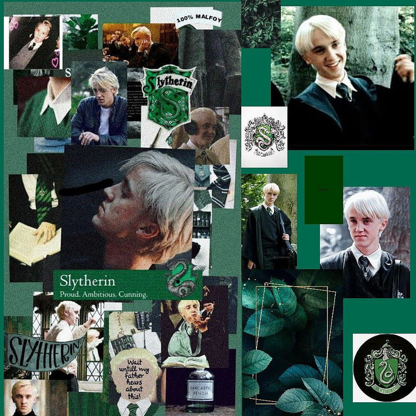 Draco Malfoy, the malfoys HD phone wallpaper