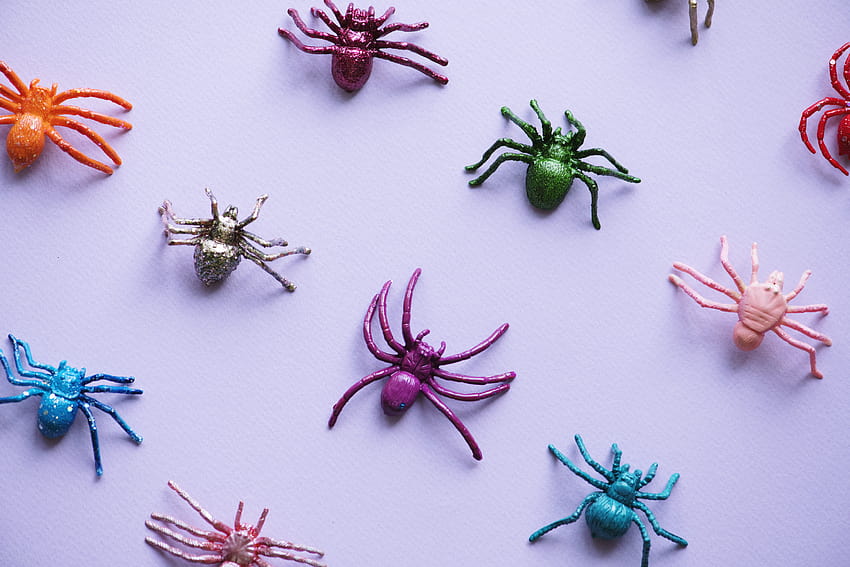 : animal, arachnid, artificial, background, bug, childish, close up, closeup, colorful, crawly, creature, creepy, fake, frightening, halloween, holidays, horror, insect, leg, legs, many, multi colored, object, october, party, pattern, plastic, scary spiders HD wallpaper