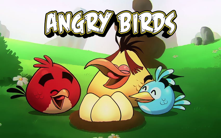 angry birds cute angry birds cute [1600x1000] for your , Mobile & Tablet HD wallpaper