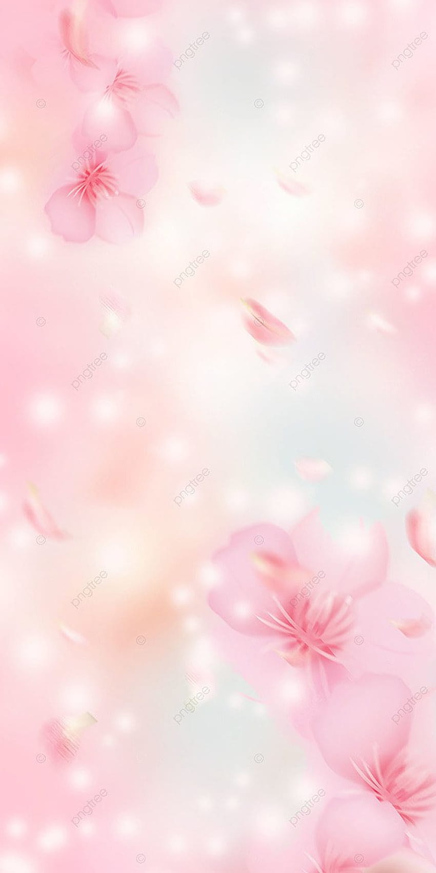 Spring Sunshine Flower Pink Background, Spring, Flowers, Background for, かわいい春の花 HD電話の壁紙
