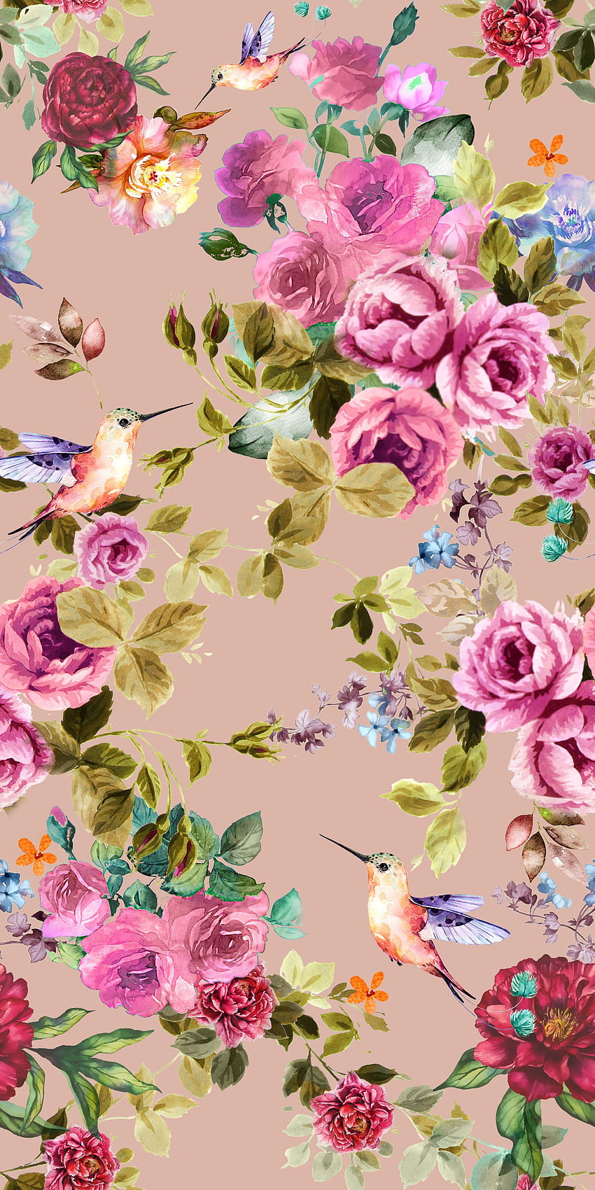 Jennifer Christian on, hummingbird and roses HD phone wallpaper