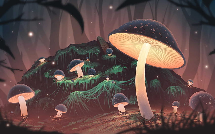 Mushroom Wallpapers  Top Free Mushroom Backgrounds  WallpaperAccess