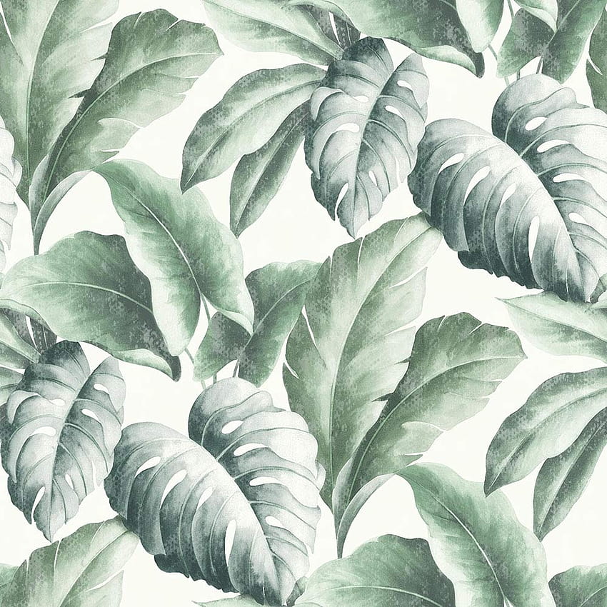 Tropicana Floral Leaf , Ivory, Green, green fern leaf HD phone wallpaper
