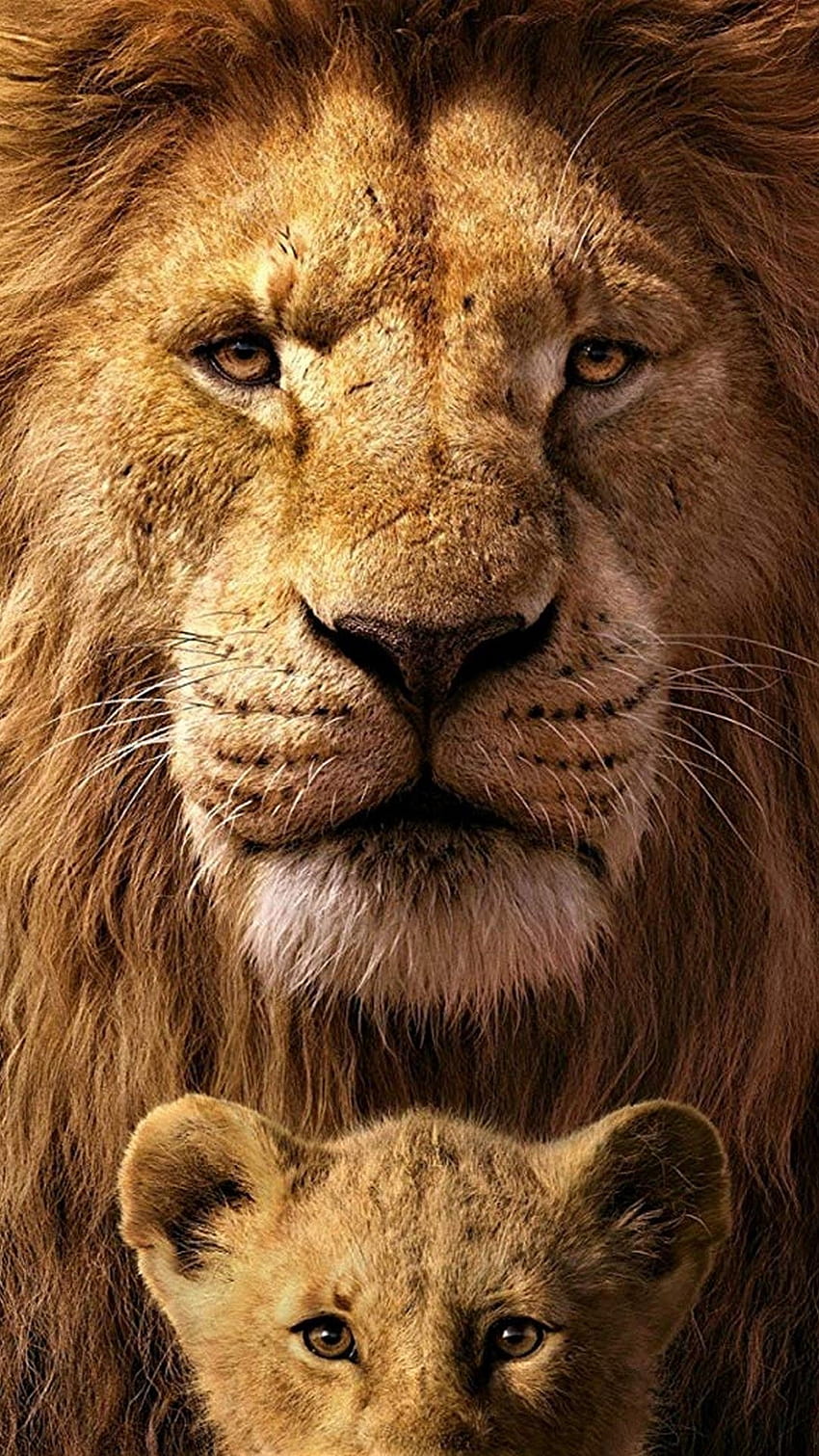 Lion Family Wallpaper for iPhone 12 Pro