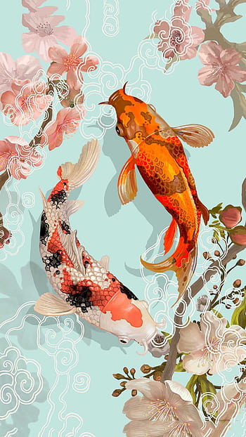 Koi fish HD wallpapers | Pxfuel
