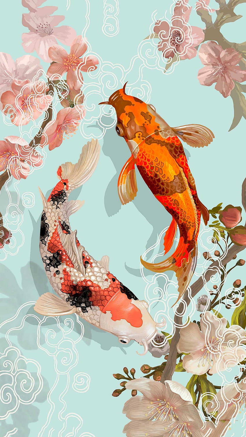 Koi Fish, koi carp HD phone wallpaper