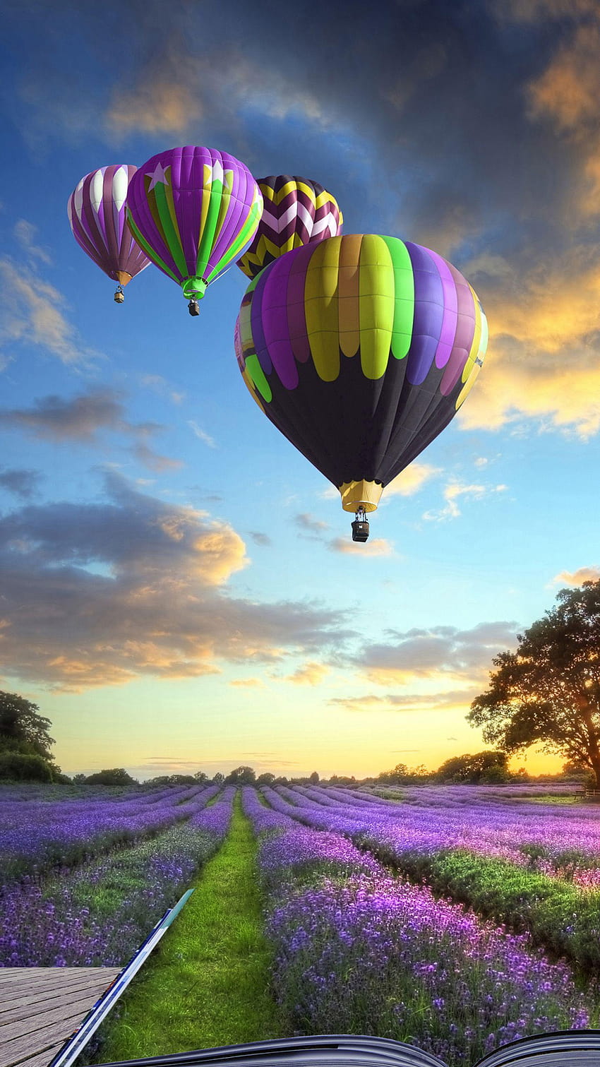 Bunte Heißluftballons HD-Handy-Hintergrundbild