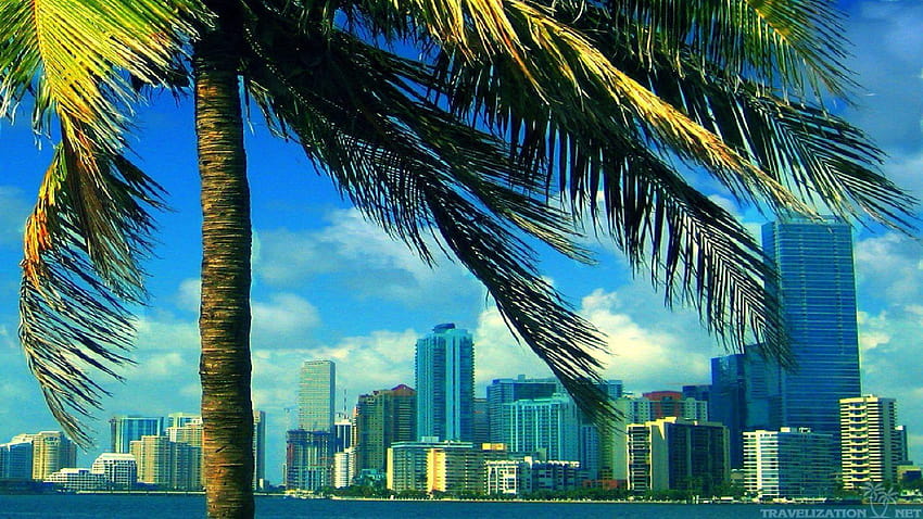 7 Miami, miami downtown florida cityscape HD wallpaper