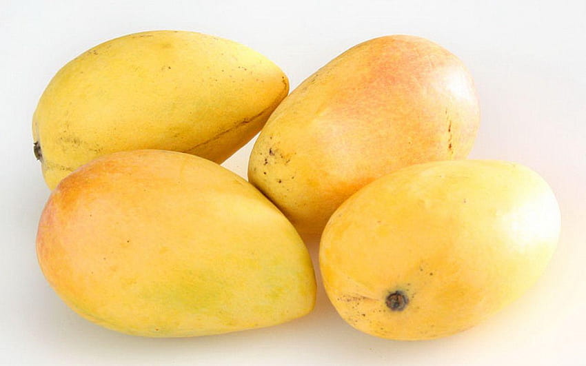 Плодове манго, дърво алфансо манго пълно HD тапет