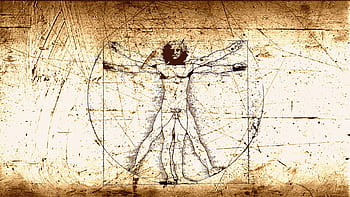 Leonardo Da Vincis Vitruvian Man Tattoo