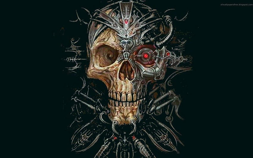 Terror Skull HD wallpaper | Pxfuel
