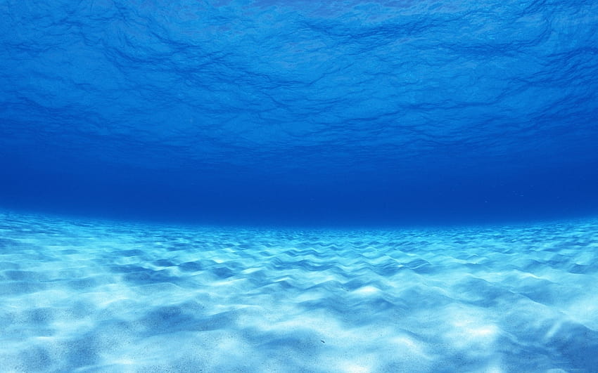 Sotto il fondale oceanico, fondale marino Sfondo HD