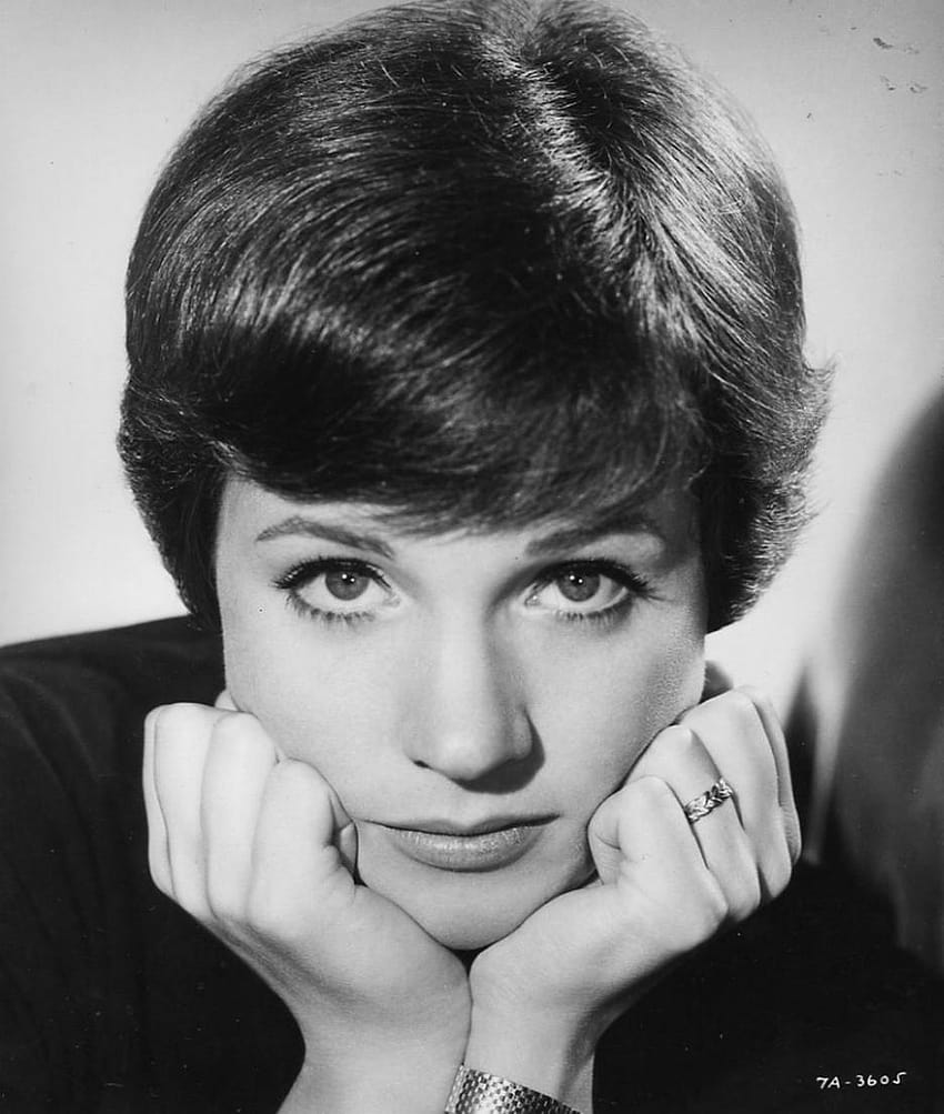 Julie Andrews for PC HD phone wallpaper