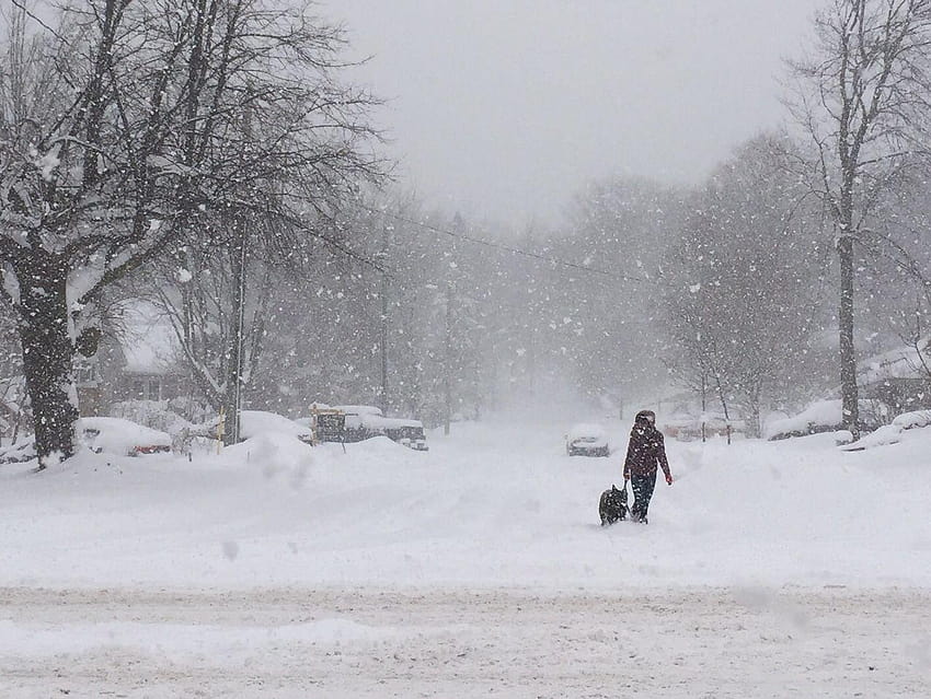 WATCH: Snow squall moves into northern El Paso County