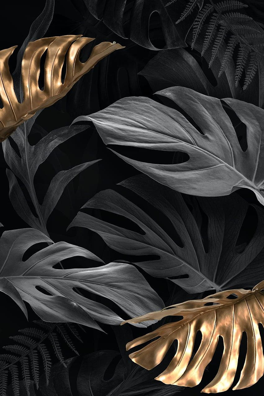 Altın ve siyah Monstera Deliciosa yaprakları, siyah çarşaf HD telefon duvar kağıdı