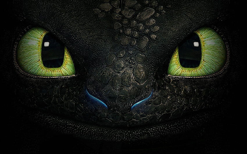 How to Train Your Dragon 2, toothless the dragon HD wallpaper