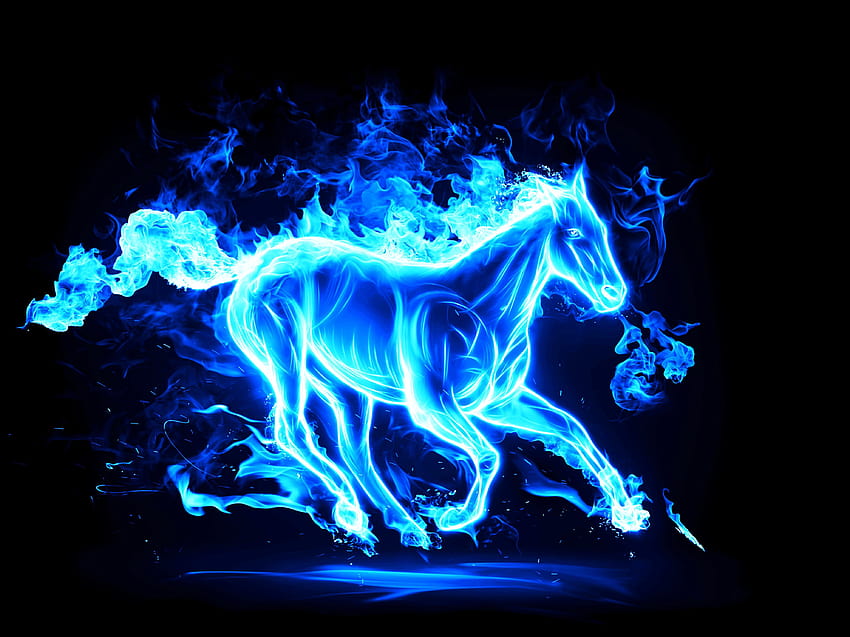 horse, Fire, Animals, 3d, Graphics / and, fire animals HD wallpaper