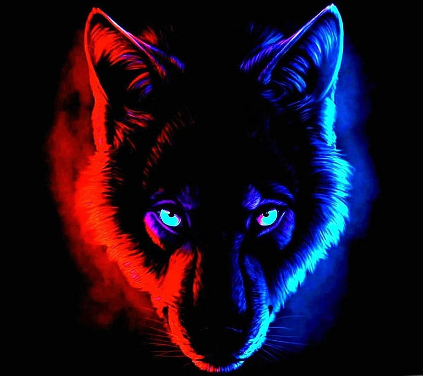 Lobo de ojos azules que brillan intensamente, lobo que brilla intensamente fondo de pantalla