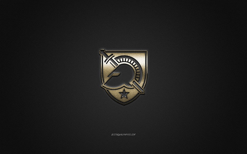 Army Black Knights logo, American football club, NCAA, golden logo, gray carbon fiber background, American football, West Point, New York, USA, Army Black Knights with resolution 2560x1600. High HD wallpaper